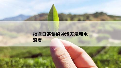 福鼎白茶饼的冲泡方法和水温度