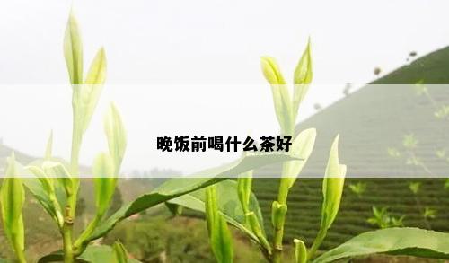 晚饭前喝什么茶好