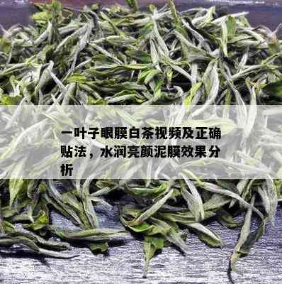 一叶子眼膜白茶视频及正确贴法，水润亮颜泥膜效果分析