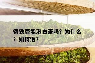 铸铁壶能泡白茶吗？为什么？如何泡？