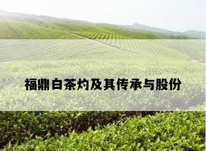 福鼎白茶灼及其传承与股份