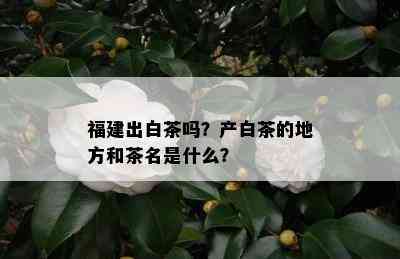 福建出白茶吗？产白茶的地方和茶名是什么？