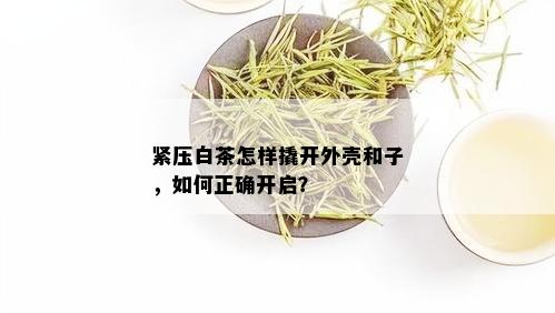 紧压白茶怎样撬开外壳和子，如何正确开启？