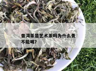 普洱茶是艺术茶吗为什么贵不能喝？