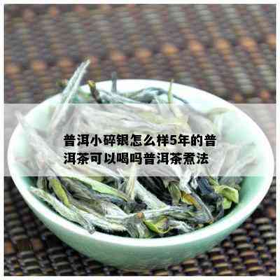 普洱小碎银怎么样5年的普洱茶可以喝吗普洱茶煮法