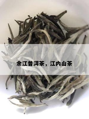 余江普洱茶，江内山茶