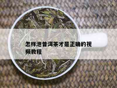 怎样泡普洱茶才是正确的视频教程