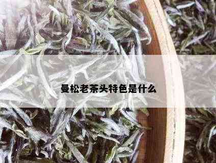 曼松老茶头特色是什么