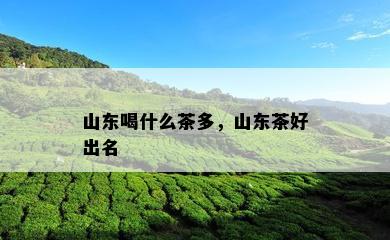 山东喝什么茶多，山东茶好出名