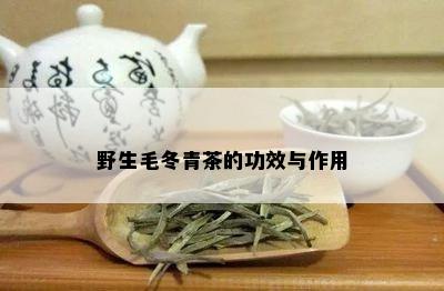 野生毛冬青茶的功效与作用