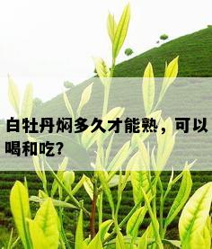 白牡丹焖多久才能熟，可以喝和吃？