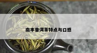 南丰普洱茶特点与口感