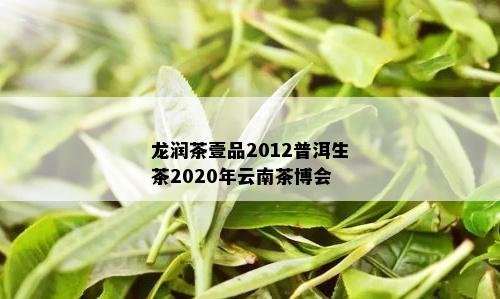 龙润茶壹品2012普洱生茶2020年云南茶博会