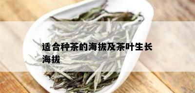 适合种茶的海拔及茶叶生长海拔