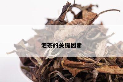 泡茶的关键因素