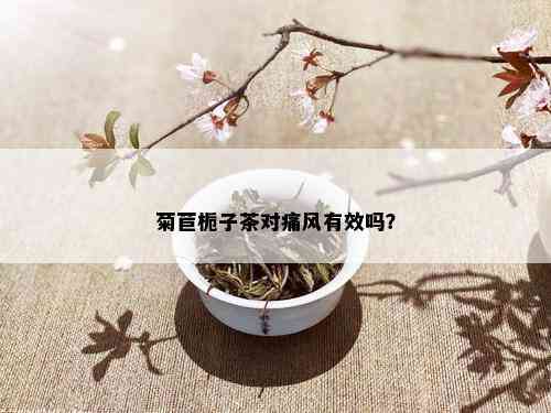 菊苣栀子茶对痛风有效吗？