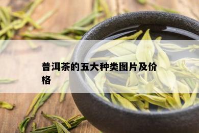 普洱茶的五大种类图片及价格