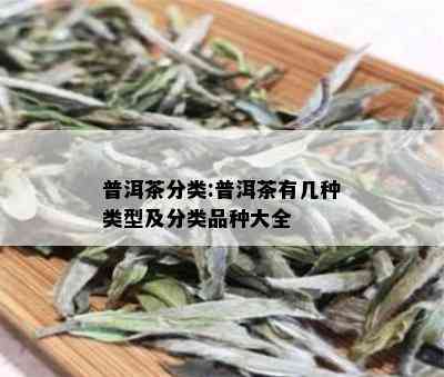 普洱茶分类:普洱茶有几种类型及分类品种大全