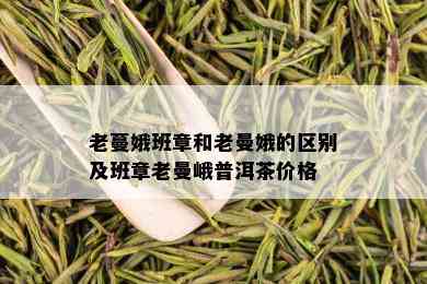 老蔓娥班章和老曼娥的区别及班章老曼峨普洱茶价格