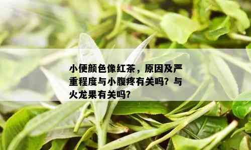 小便颜色像红茶，原因及严重程度与小腹疼有关吗？与火龙果有关吗？