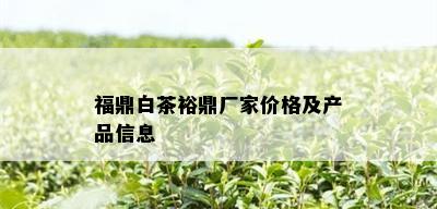 福鼎白茶裕鼎厂家价格及产品信息