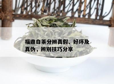 福鼎白茶分辨真假、好坏及真伪，辨别技巧分享