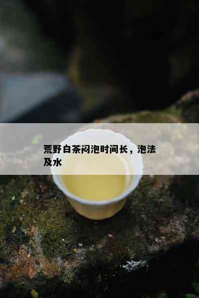 荒野白茶闷泡时间长，泡法及水