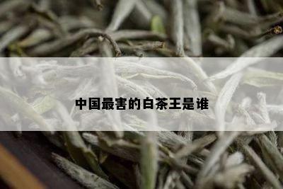 中国最害的白茶王是谁