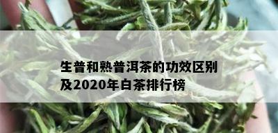 生普和熟普洱茶的功效区别及2020年白茶排行榜