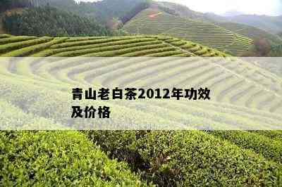 青山老白茶2012年功效及价格