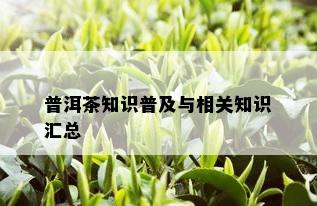 普洱茶知识普及与相关知识汇总