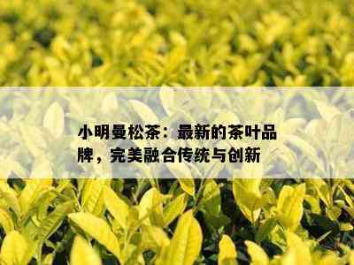 小明曼松茶：最新的茶叶品牌，完美融合传统与创新