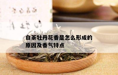 白茶牡丹花香是怎么形成的原因及香气特点