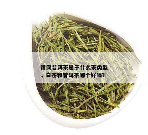 请问普洱茶属于什么茶类型，白茶和普洱茶哪个好喝？