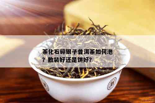 茶化石碎银子普洱茶如何泡？散装好还是饼好？