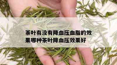 茶叶有没有降血压血脂的效果哪种茶叶降血压效果好