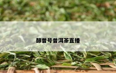 醇普号普洱茶直播