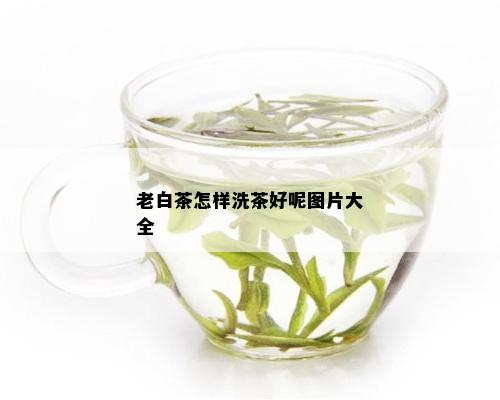 老白茶怎样洗茶好呢图片大全