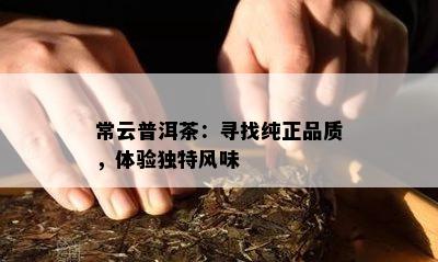 常云普洱茶：寻找纯正品质，体验独特风味