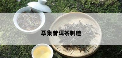 萃集普洱茶制造