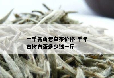 一千名山老白茶价格-千年古树白茶多少钱一斤