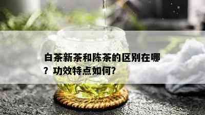 白茶新茶和陈茶的区别在哪？功效特点如何？