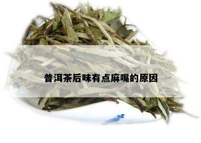 普洱茶后味有点麻嘴的原因