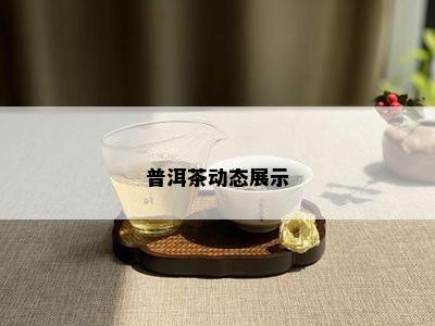 普洱茶动态展示