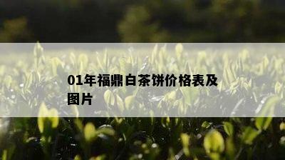 01年福鼎白茶饼价格表及图片