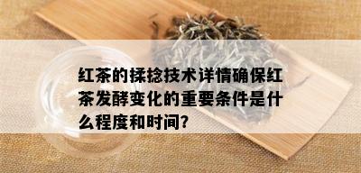 红茶的揉捻技术详情确保红茶发酵变化的重要条件是什么程度和时间？