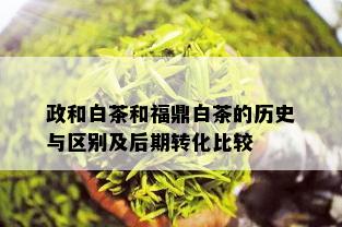 政和白茶和福鼎白茶的历史与区别及后期转化比较