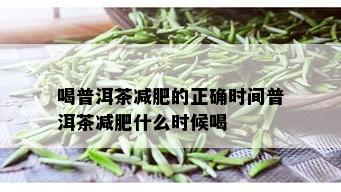 喝普洱茶减肥的正确时间普洱茶减肥什么时候喝