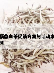 福鼎白茶促销方案与活动案例