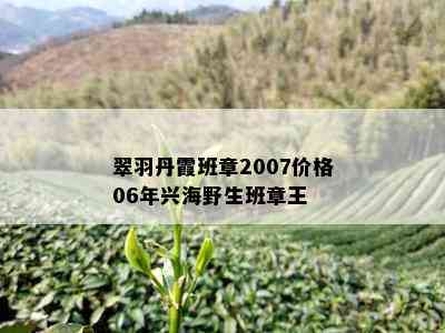 翠羽丹霞班章2007价格06年兴海野生班章王